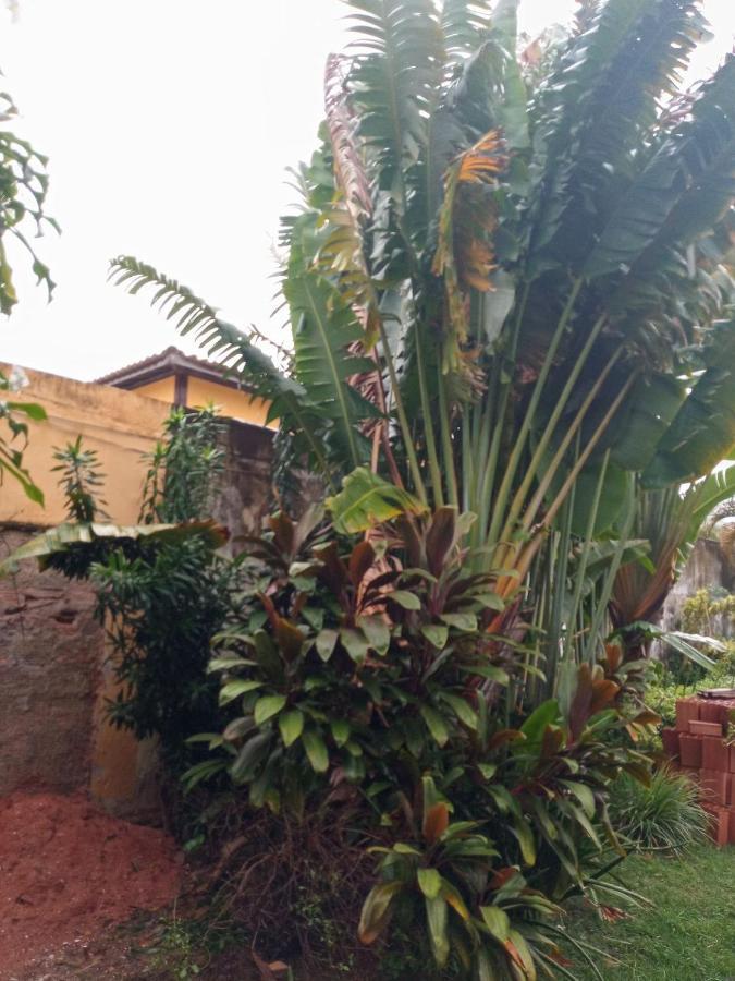 Zen Villas - Chales, Bem-Estar E Conexao Com A Natureza Lauro de Freitas Exteriér fotografie