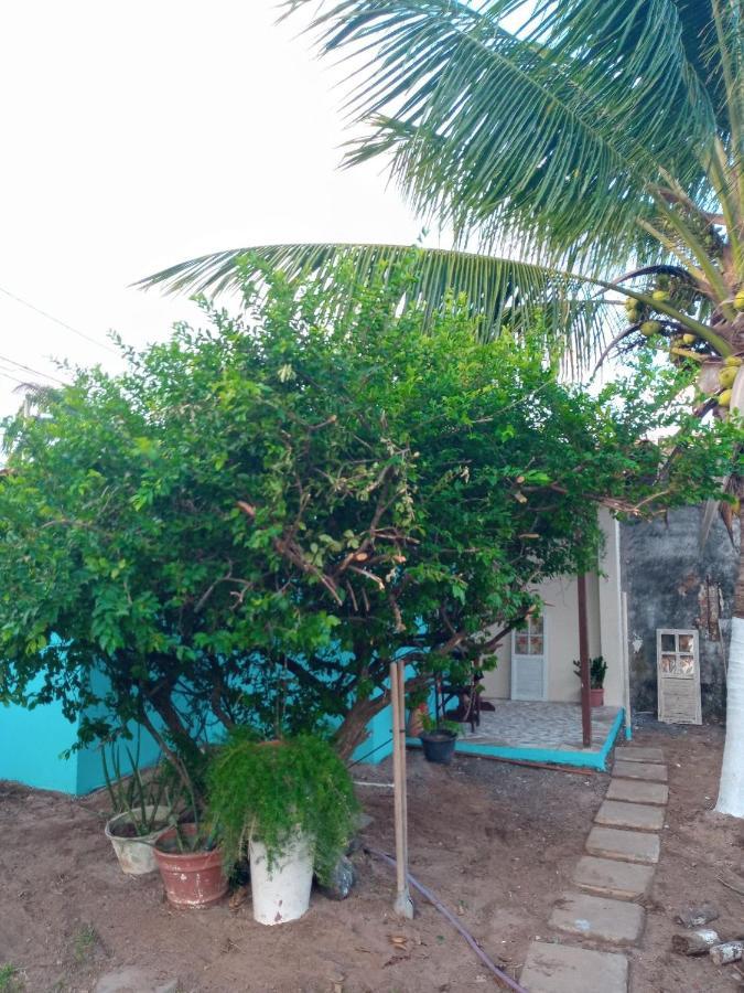 Zen Villas - Chales, Bem-Estar E Conexao Com A Natureza Lauro de Freitas Exteriér fotografie