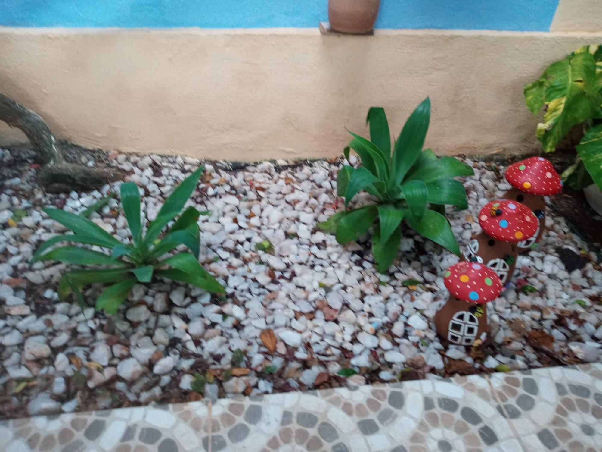 Zen Villas - Chales, Bem-Estar E Conexao Com A Natureza Lauro de Freitas Exteriér fotografie