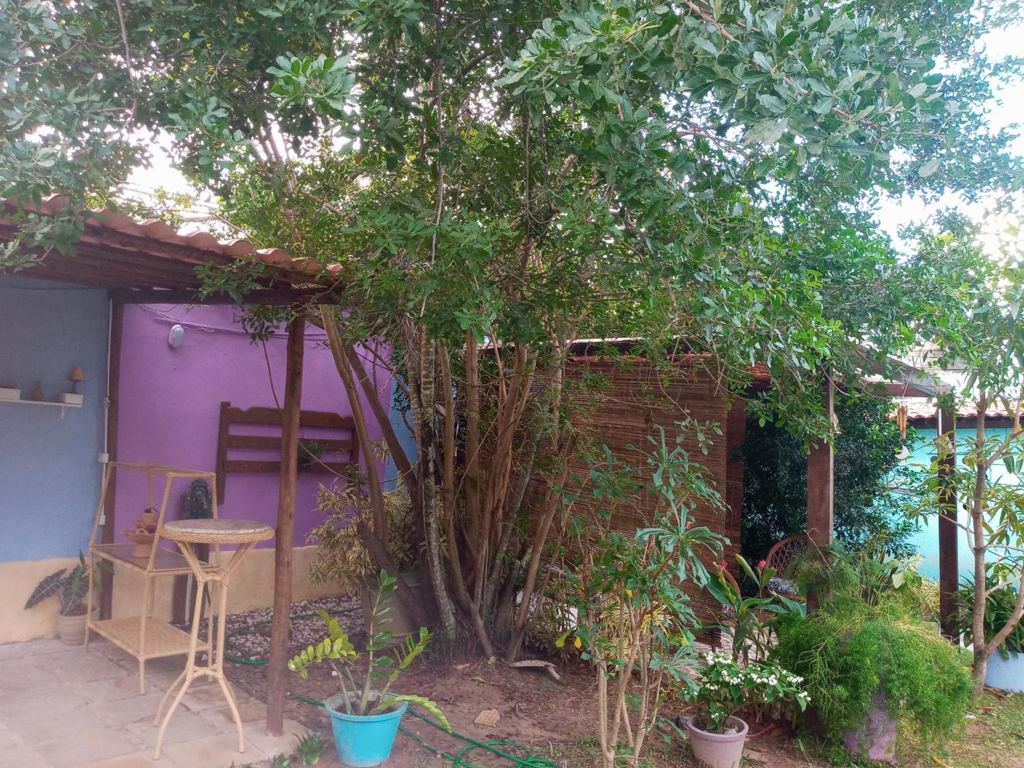 Zen Villas - Chales, Bem-Estar E Conexao Com A Natureza Lauro de Freitas Exteriér fotografie